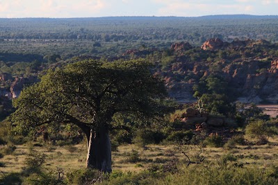 Photos of Mapesu Private Game Reserve