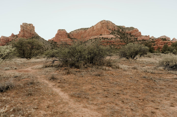 Cozy Cactus a Country Inn and Event Venue by null