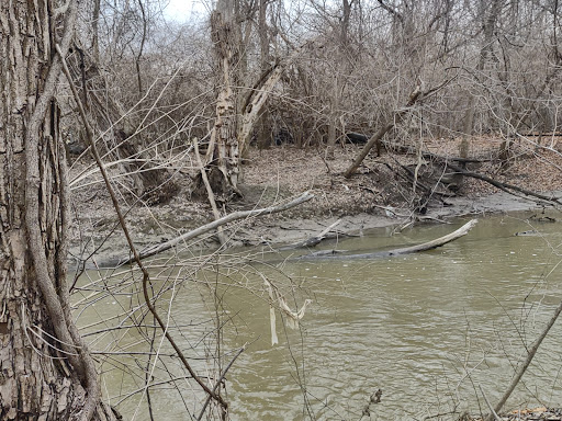 Mill Trail - Visual