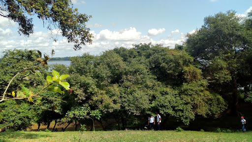 El Refugio De Firulais