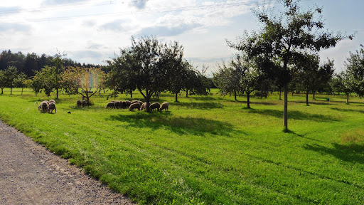 Obstbaummuseum - Visual