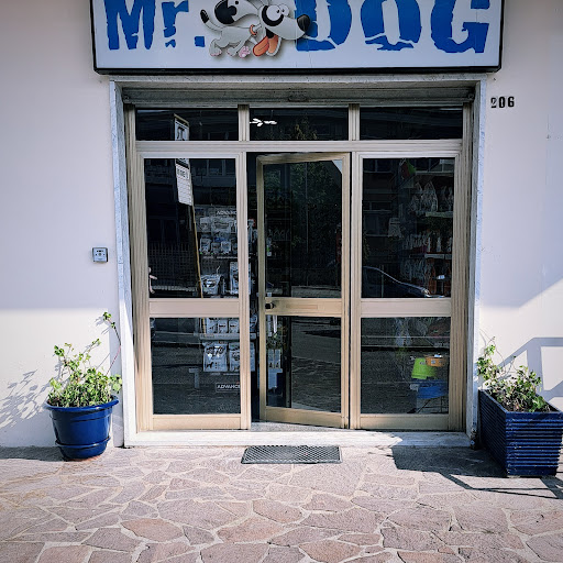 Mr. Dog