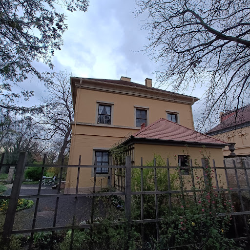 Museum About Liszt - Visual