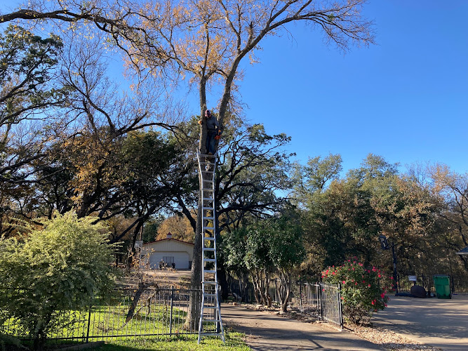 Qualified Tree Care