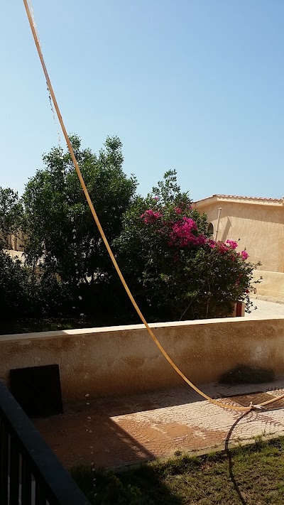 Photos of Cairo University Resort