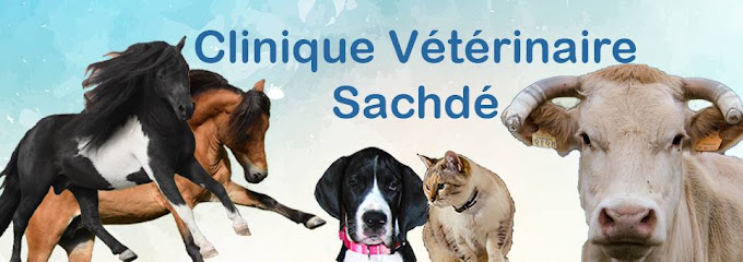 Cabinet Vétérinaire Sachdé