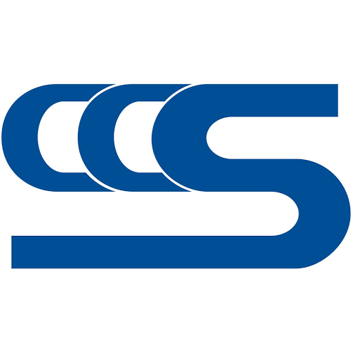 Corporate Computer Systems - Visual