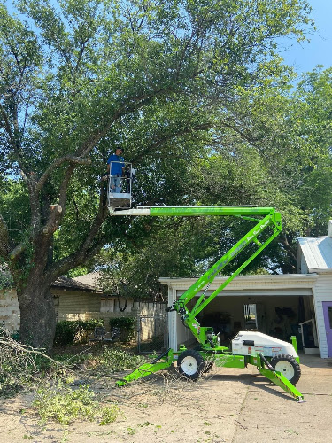 ArborAce Tree Specialists