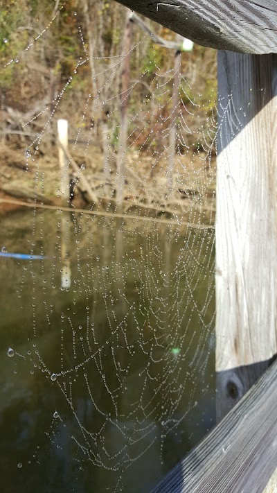 Tri-County Marina