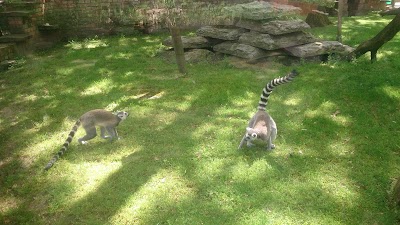 Photos of Wittenberg Zoo
