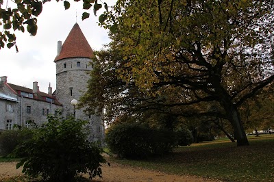 Photos of Discover-Estonia OU