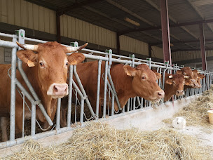 Photo n°5 de La Ferme De Vers - Boucherie-Charcuterie à Sainte-Gemme (Ferme)