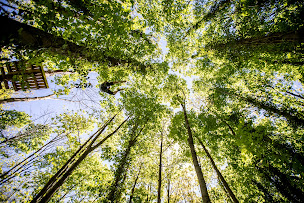 Photo n°3 de City Aventure - Lyon Sainte Foy à Sainte-Foy-lès-Lyon (Village de vacances)