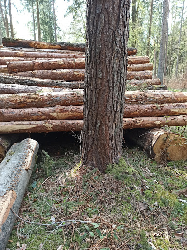 Sandizell, Gollingkreut und Öd - Thumbnail