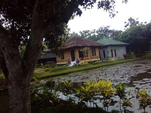 Pondok Pesantren Tahfidz Raudhatul Qur'an, Author: MELDA MELATI