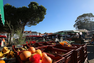 Photo n°7 de VIVRE ICI St-Brevin-l'Océan - Bariteau Immobilier-Vacances à Saint-Brevin-les-Pins (Expert immobilier)