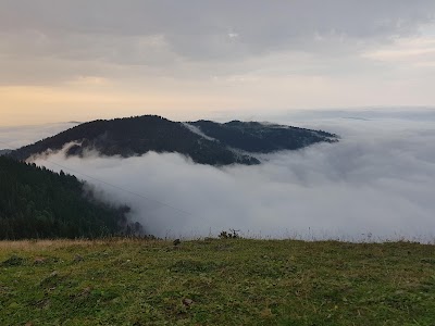 Gito yaylasi cici baba dağevi