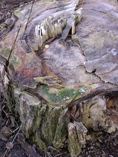 Cortright Wildlife Area - Thumbnail