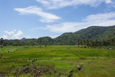 Photos of Taman Nasional Gunung Palung