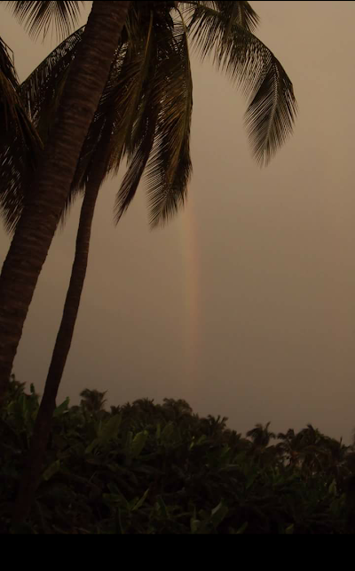 Photos of Los Rios