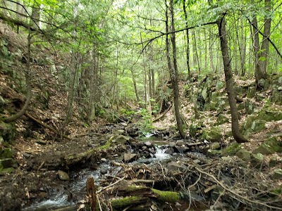 Mosher Hill Falls