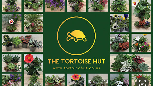 The Tortoise Hut