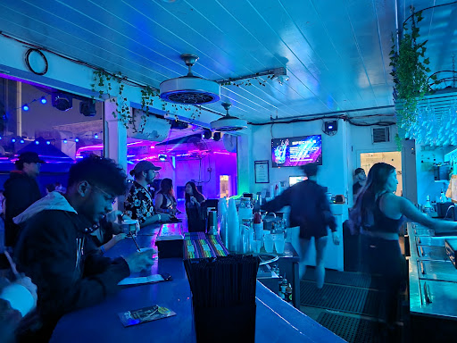 Sly Fox Pub - Visual