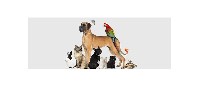 Opinii despre ΚΤΗΝΙΑΤΡΕΙΟ ΔΑΝΑΗ-ΓΑΒΡΙΕΛΑ ΣΤΥΛΙΑΝΟΥ ΚΑΛΟΓΕΡΟΠΟΥΛΟΥ în Καισαριανή - Κτηνίατρος