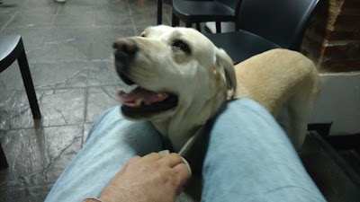 Photos of Veterinaria Alberto