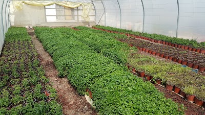 Photos of Yasmin Landscaping & Garden Center