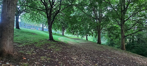 Weavers Field - Visual