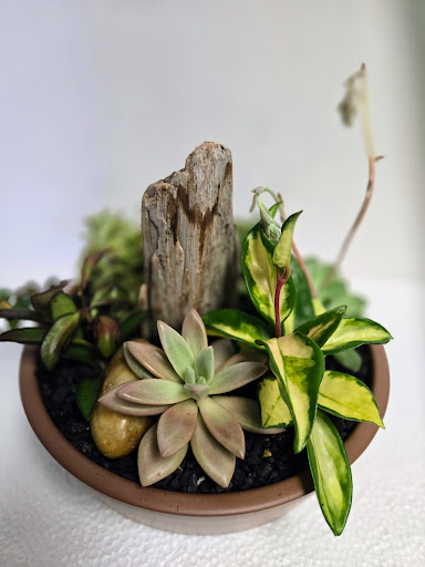 O'Fleuriste - Visual