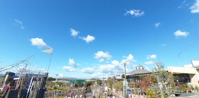 Masons Garden Centre & Nurseries - Landscaper