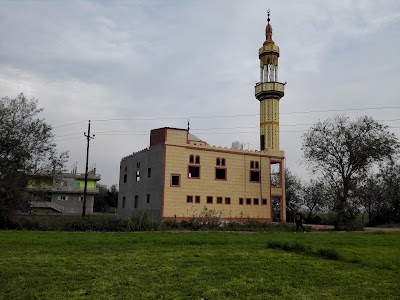 Photos of Farouk Mosque
