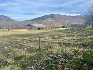 Photo n°2 de Ecuries de Lintignat à Peyrat-le-Château (Écurie)