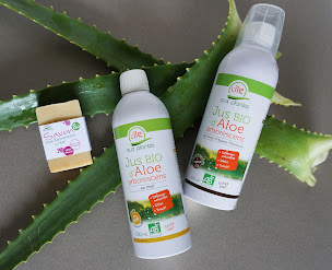 Photo n°3 de L'île aux plantes | Aloe arborescens bio à Thil (Ferme à visiter)