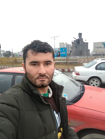 university