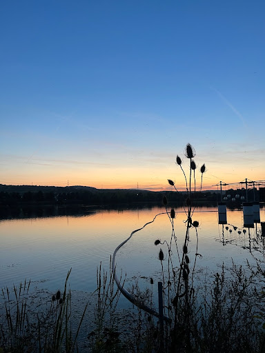 Wakepark-Triolago Gallery - Germany