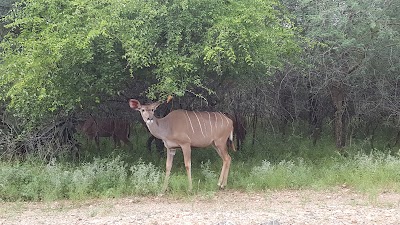Photos of Little Kruger Lodge