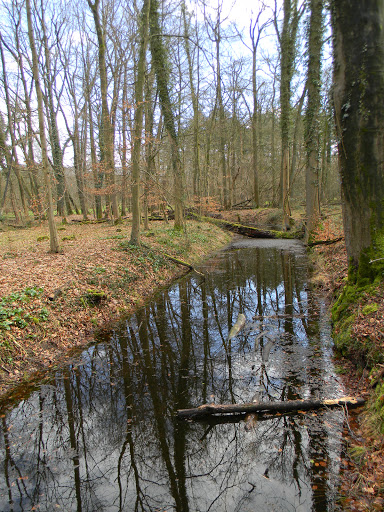 Landgoed Bijvanck - Thumbnail