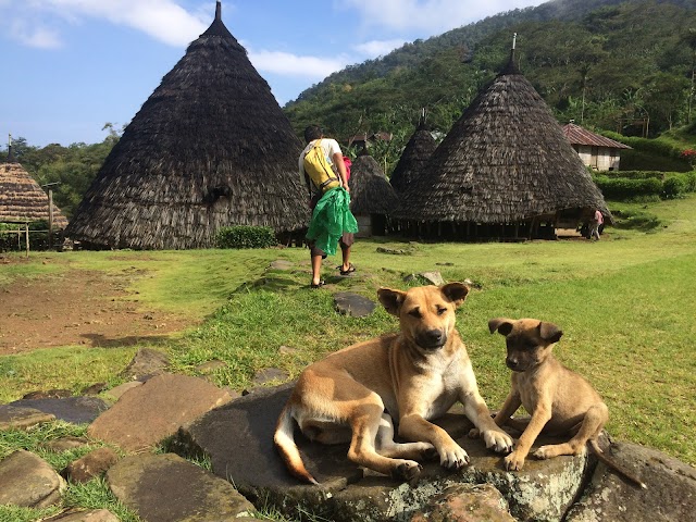 Wae Rebo Village