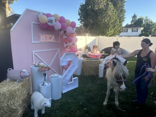 Long Island Pony Parties & Petting Zoo - Thumbnail