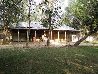 Photos of Meghmati Village Resort