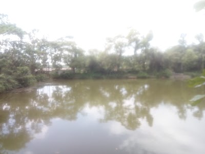 Photos of রাজার পুকুর