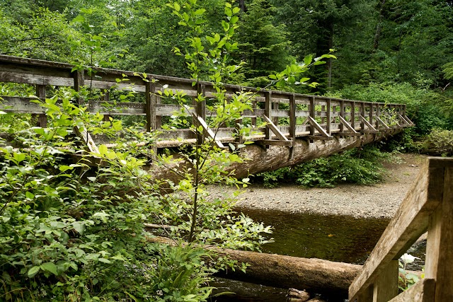 Cape Scott Provincial Park