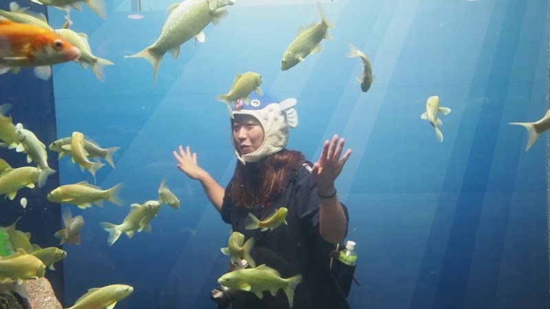 ウッディダイビングスクール