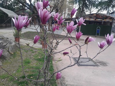 Photos of Izmit Teacher House