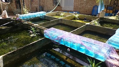Photos of wasana ornamental fish farm