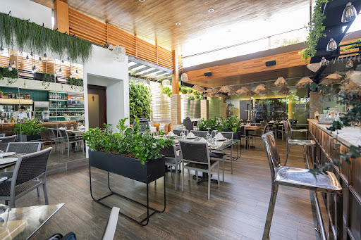 Saga Restaurant & Cigar Club