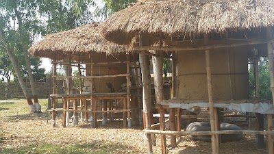 Photos of Lake Twenty Thousand Farm and Retreat (LTK)